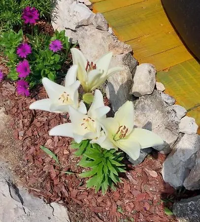 Panorama Vendeghaz Pécsely